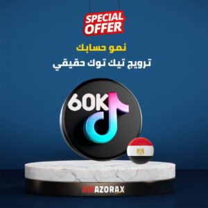 organic-tiktok-growth-egypt60k